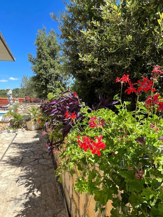 Apartment With Swimming Pool Jelsa  Extérieur photo