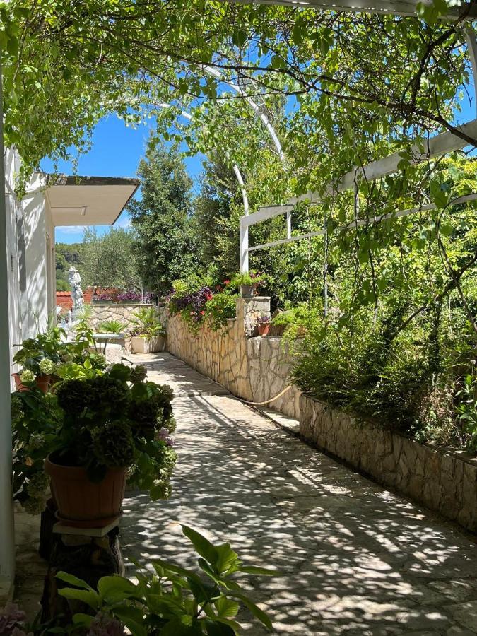 Apartment With Swimming Pool Jelsa  Extérieur photo