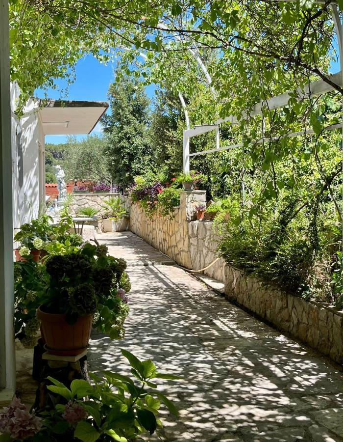 Apartment With Swimming Pool Jelsa  Extérieur photo